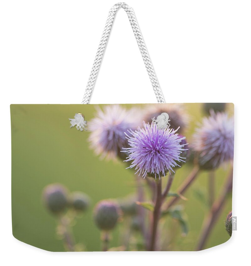 Thistle Weekender Tote Bag featuring the photograph Thistle Flowers by Karen Rispin