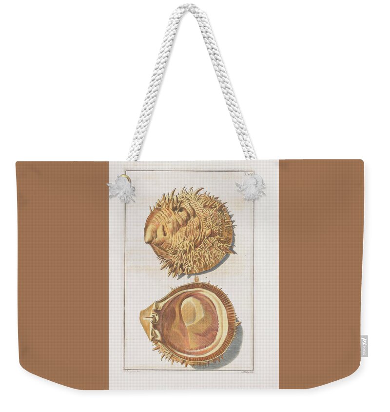 Thorny Oyster Weekender Tote Bag featuring the digital art Thorny Oyster -1742 by Kim Kent