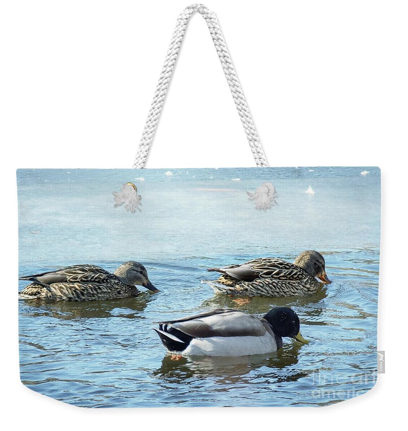 Winter Weekender Tote Bag featuring the photograph Three Ducks in Winter by Lorraine Cosgrove