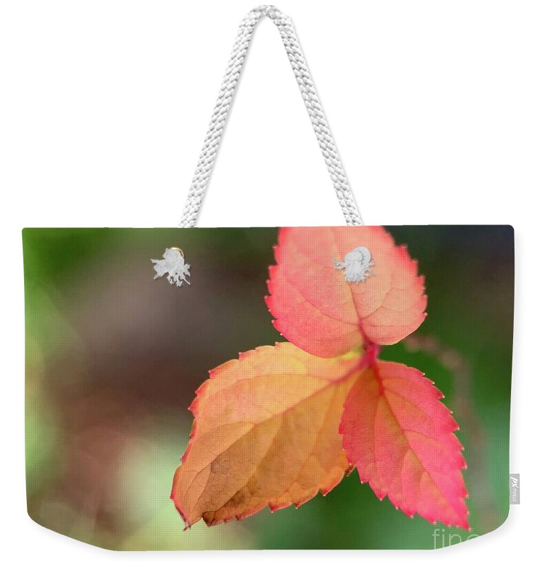 Fall Weekender Tote Bag featuring the photograph Three Fall Leaves by Catherine Wilson