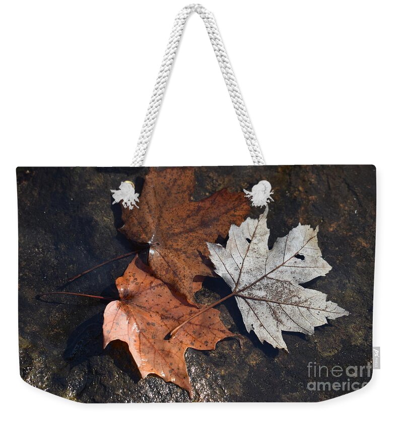 Leaves Weekender Tote Bag featuring the photograph Three Leaves in the Creek by Stefania Caracciolo