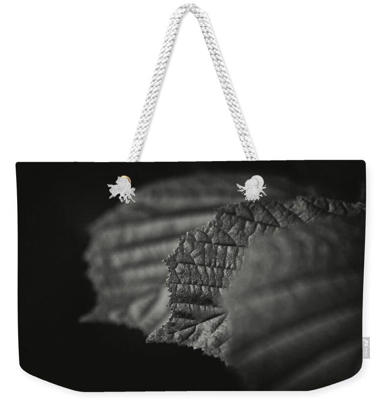 Shallow Weekender Tote Bag featuring the photograph Three leaves by Martin Vorel Minimalist Photography