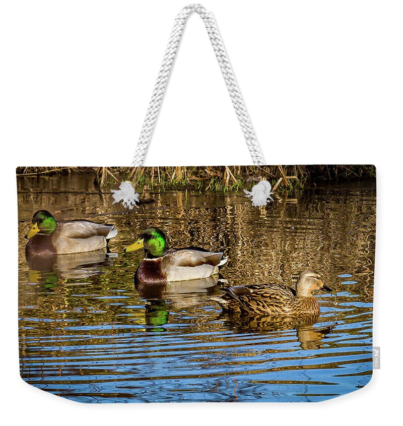 Birds Weekender Tote Bag featuring the photograph Three Mallard ducks chilling out by Louis Dallara