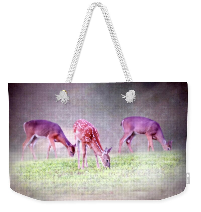 2d Weekender Tote Bag featuring the photograph Three Whitetail Grazing by Brian Wallace
