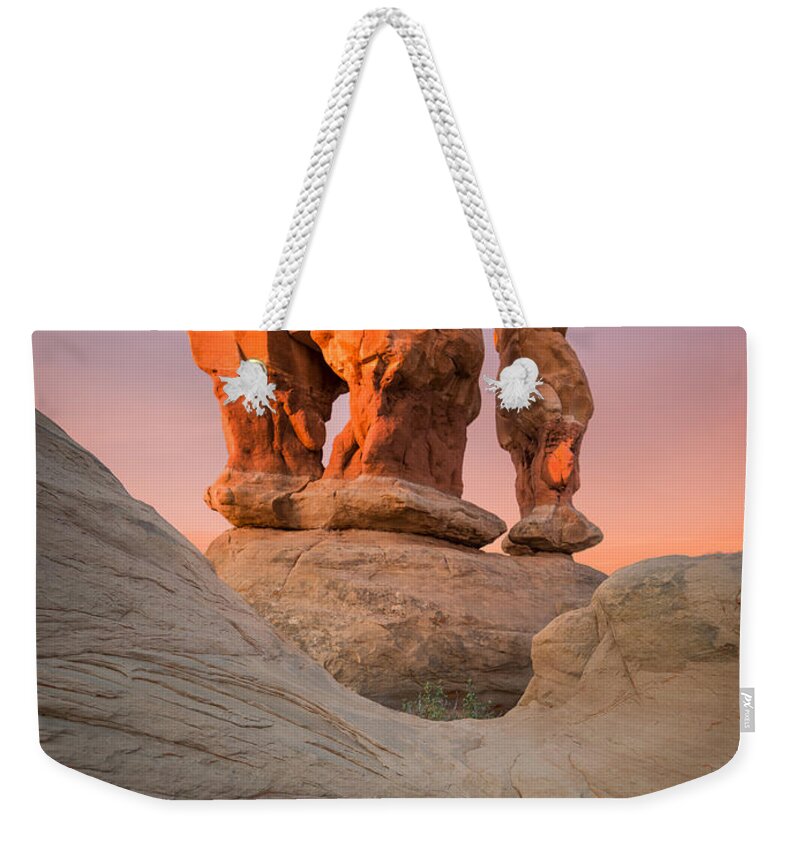 Devil's Garden Weekender Tote Bag featuring the photograph Threesome by Peter Boehringer