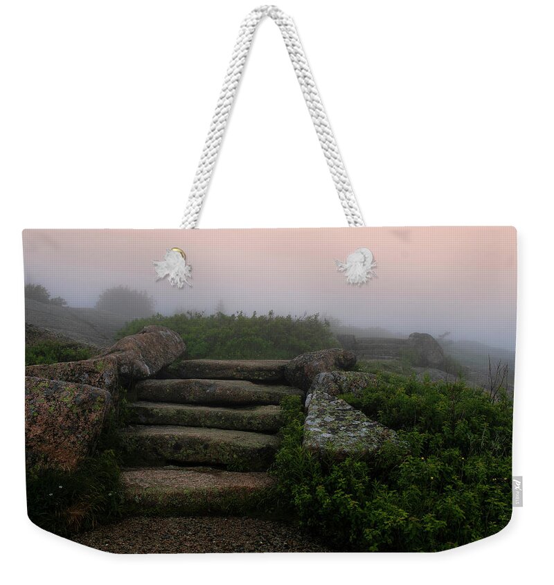 Fog Weekender Tote Bag featuring the photograph Through the Fog by Vicky Edgerly