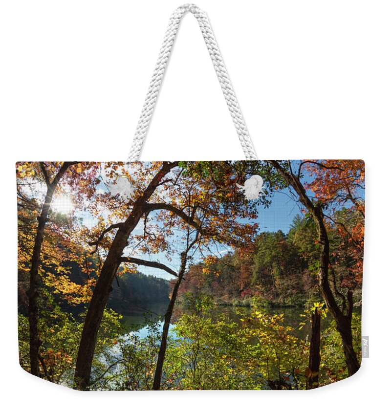 Carolina Weekender Tote Bag featuring the photograph Through the Trees at the Lake by Debra and Dave Vanderlaan