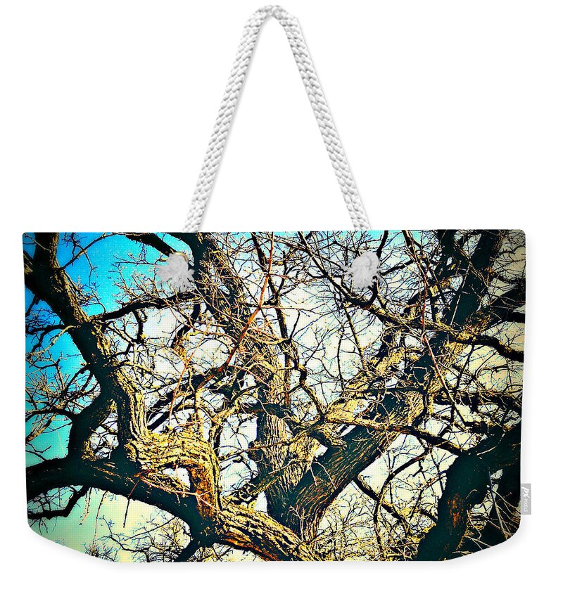 Square Weekender Tote Bag featuring the photograph Through the Years by Frank J Casella