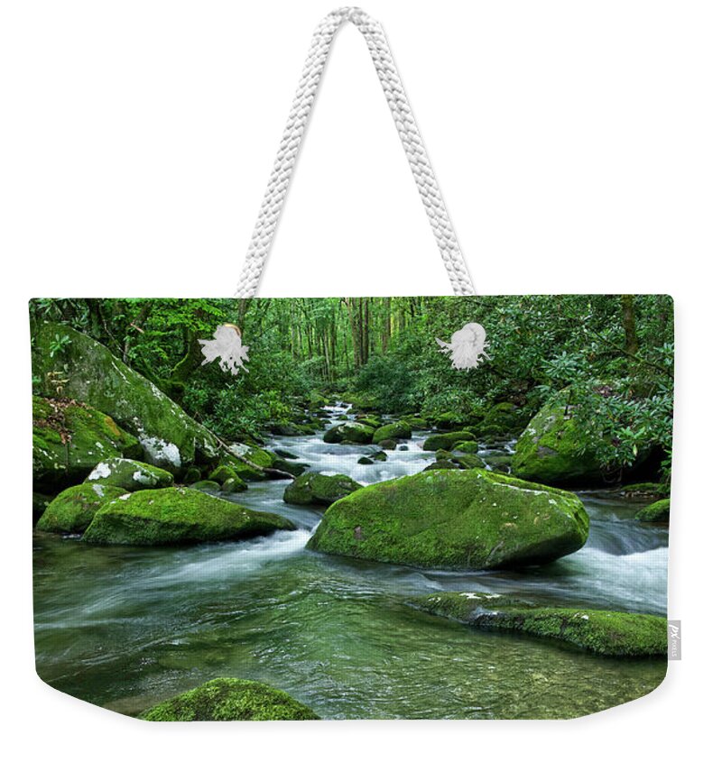 Smoky Mountains Weekender Tote Bag featuring the photograph Thunderhead Prong 20 by Phil Perkins