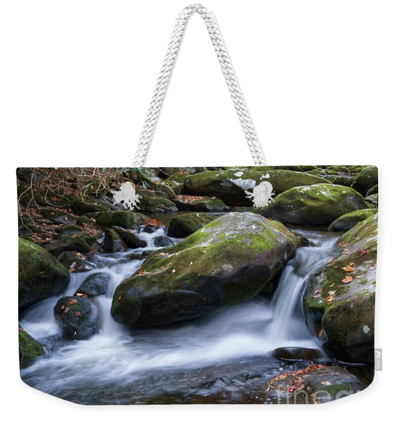 Smoky Mountains Weekender Tote Bag featuring the photograph Thunderhead Prong 27 by Phil Perkins