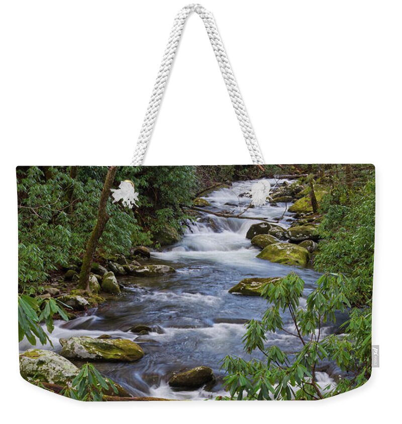 Smoky Mountains Weekender Tote Bag featuring the photograph Thunderhead Prong 31 by Phil Perkins