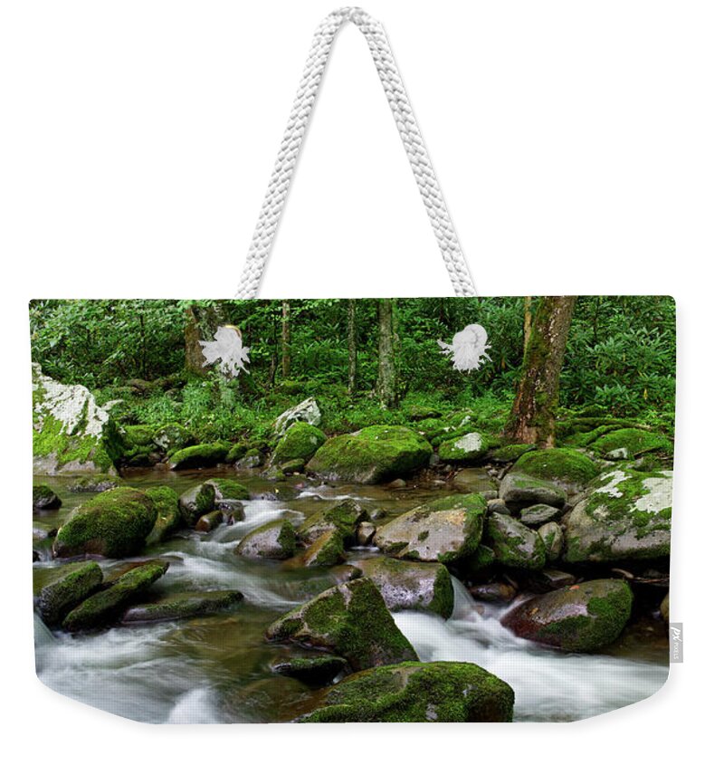 Smoky Mountains Weekender Tote Bag featuring the photograph Thunderhead Prong 6 by Phil Perkins