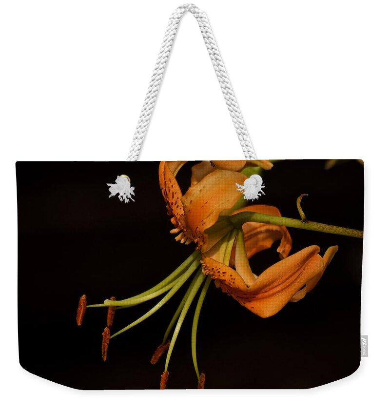 Tiger Lily Weekender Tote Bag featuring the photograph Tiger Lily 2020 by Richard Cummings