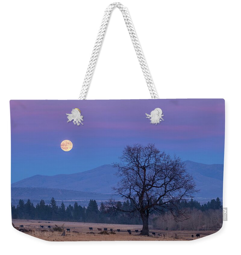 Moonrise Weekender Tote Bag featuring the photograph Till the Cows Come Home by Randy Robbins