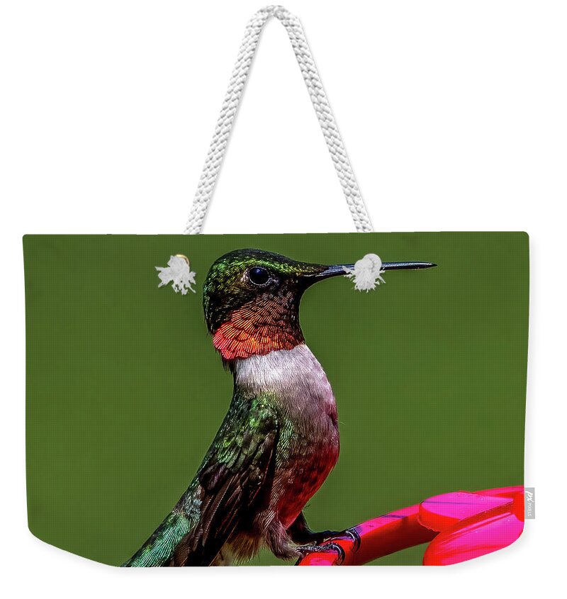 Animal Weekender Tote Bag featuring the photograph Time to Eat by Brian Shoemaker