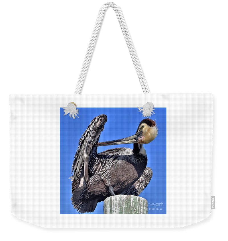 Pelican Weekender Tote Bag featuring the photograph Time to Preen by Joanne Carey