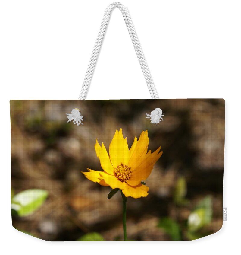  Weekender Tote Bag featuring the photograph Tiny Bloom by Heather E Harman
