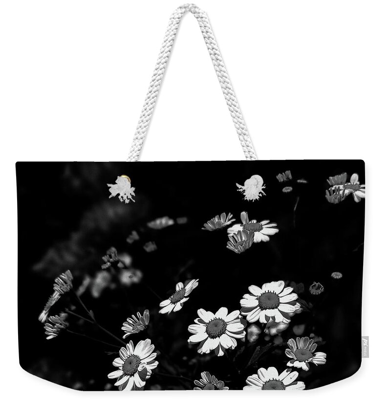 Art Weekender Tote Bag featuring the photograph Tiny Daisies Black and White by Joan Han