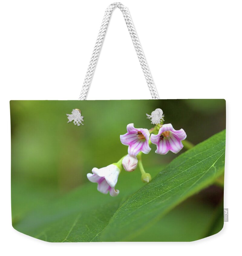 Wildflowers Weekender Tote Bag featuring the photograph Tiny Wildflowers by Bob Falcone