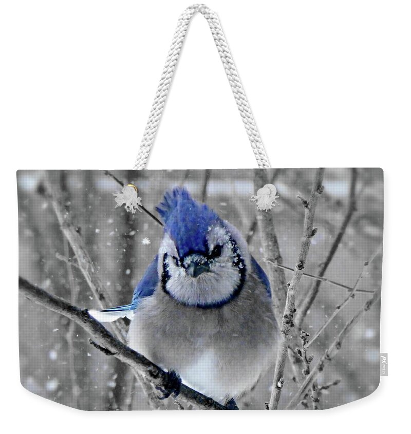 Blue Jay Weekender Tote Bag featuring the photograph Tired of the Snow by Lyuba Filatova