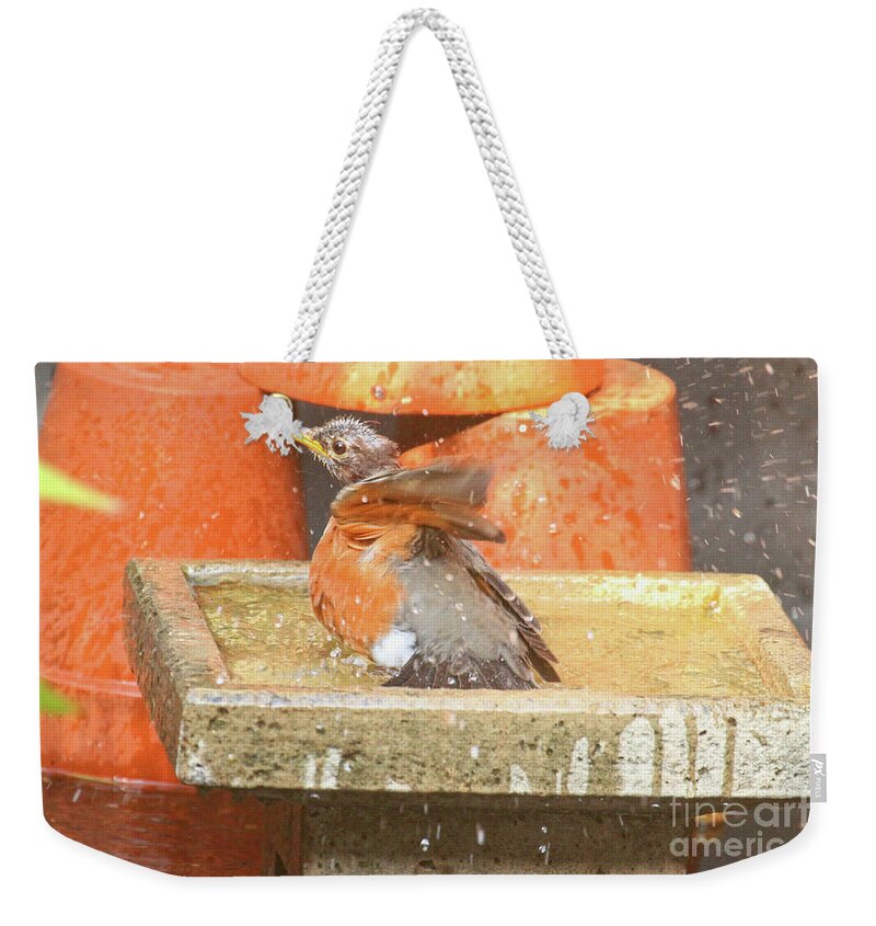 Wildlife Weekender Tote Bag featuring the photograph To Bathe Or Not To Bathe That Is The Question #2 by Patricia Youngquist