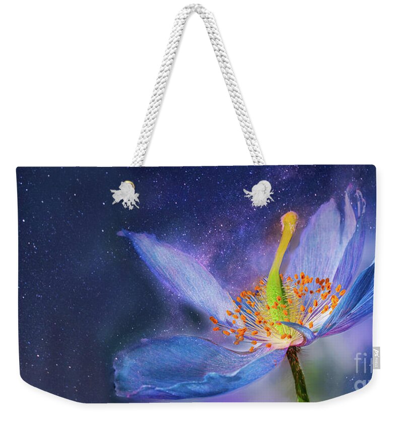 Cosmos Weekender Tote Bag featuring the photograph To Reach Beyond by Marilyn Cornwell