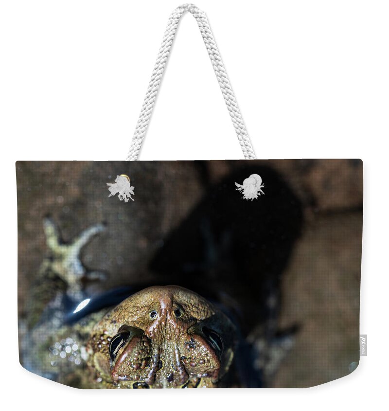 Toad Weekender Tote Bag featuring the photograph Toad On The Beach by Amelia Pearn