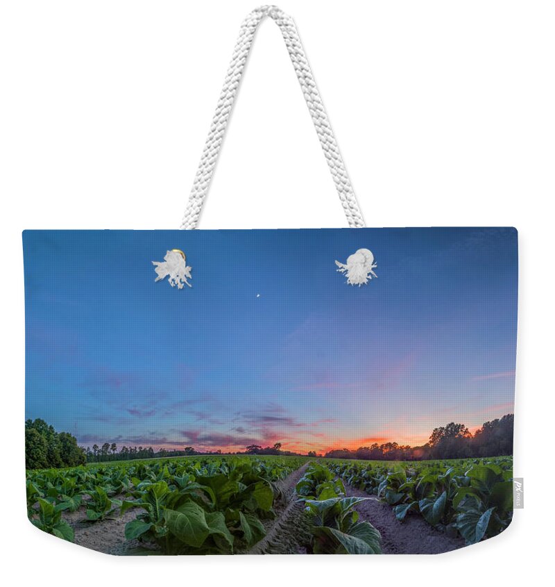 Sunset Weekender Tote Bag featuring the photograph Tobacco Sunset by Melissa Southern