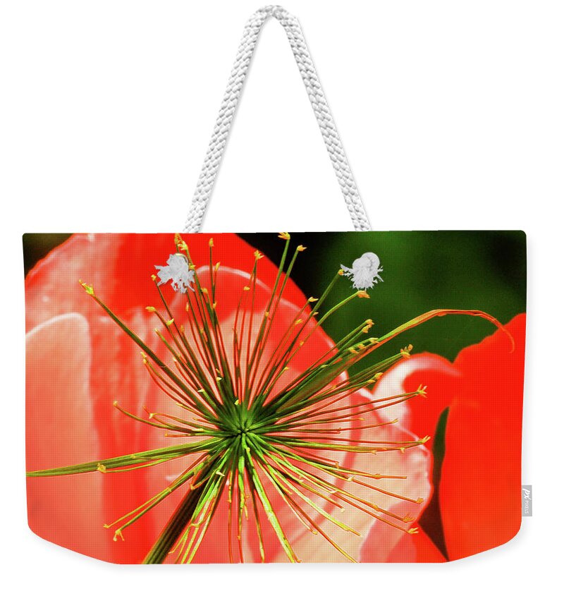 Flower Weekender Tote Bag featuring the photograph Together by Windshield Photography