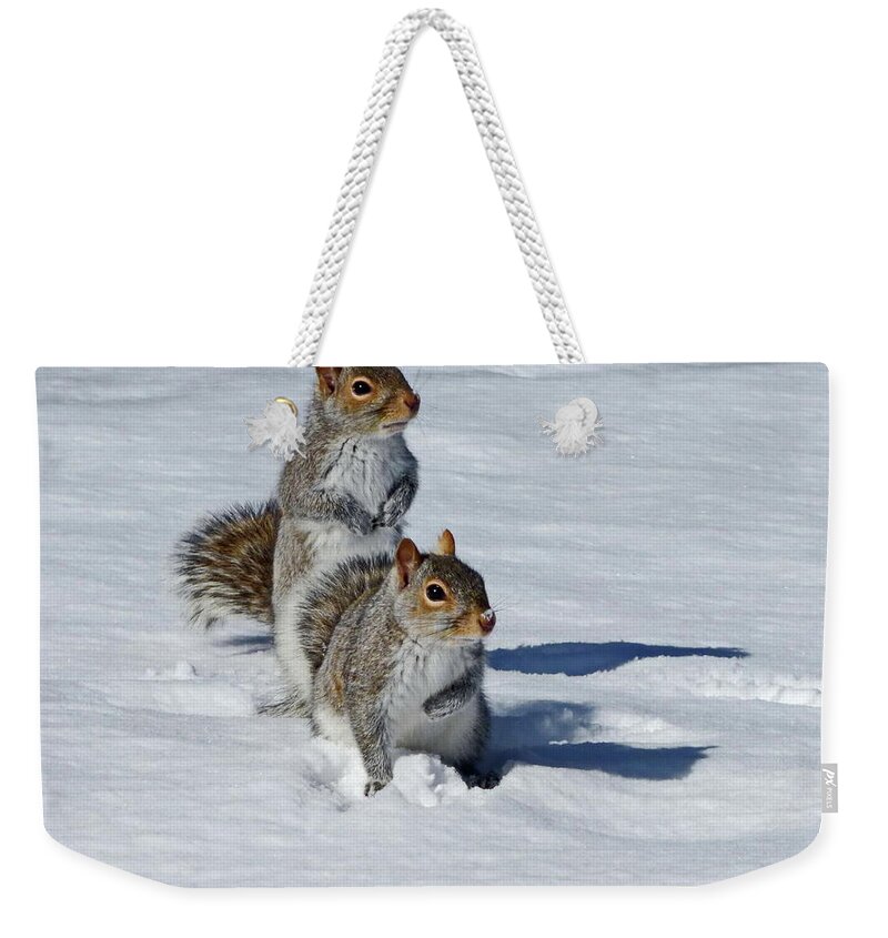 Eastern Gray Squirrel Weekender Tote Bag featuring the photograph Too Long this Winter by Lyuba Filatova