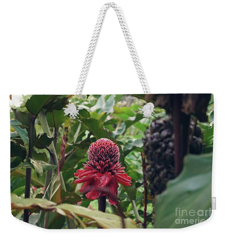 Etlingera Elatior Weekender Tote Bag featuring the photograph Torch Ginger by Cassandra Buckley