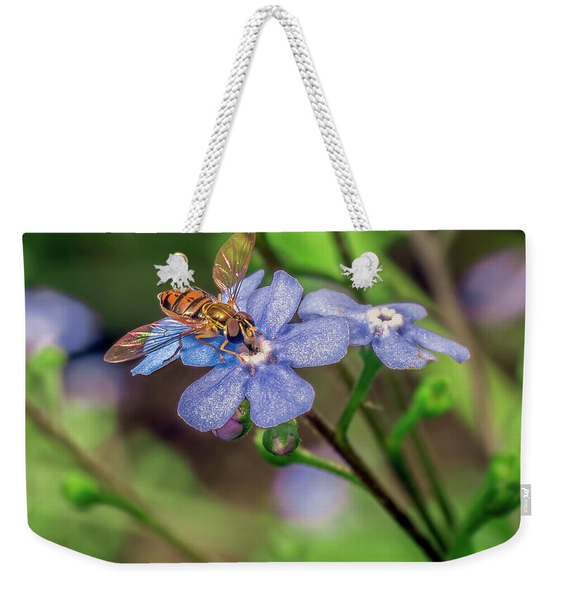 Toxomerus Weekender Tote Bag featuring the photograph Toxomerus marginatus on Brunnera macrophylla by Traveler's Pics