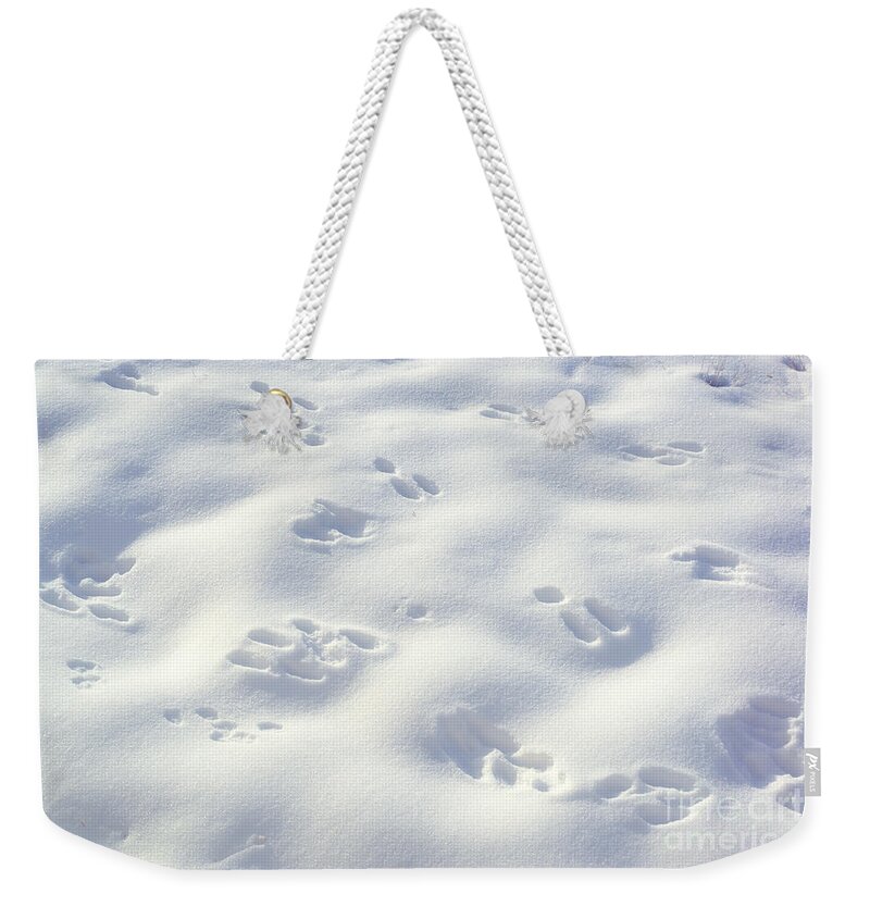 Snow Weekender Tote Bag featuring the photograph Tracks and Shadows by Kae Cheatham