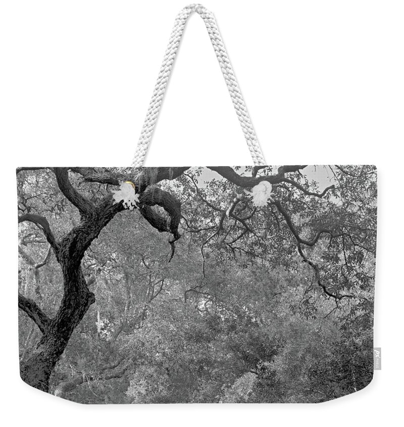 Cumberland Island Weekender Tote Bag featuring the photograph Trail, Cumberland Island, 1987 by John Simmons