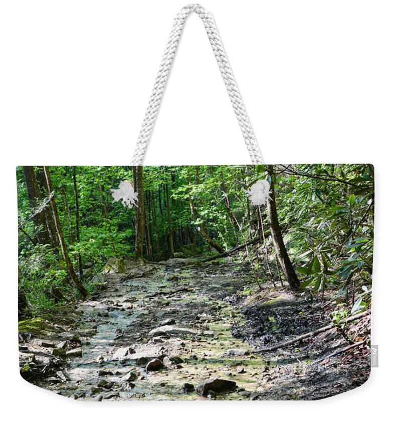 Trail Weekender Tote Bag featuring the photograph Trail Is A Creek by Phil Perkins