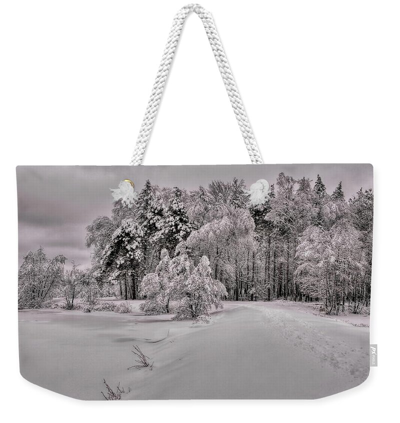 Winter Weekender Tote Bag featuring the photograph Trail To A Winter Wonderland by Dale Kauzlaric