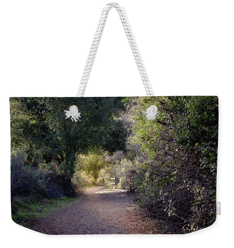 Trail Weekender Tote Bag featuring the photograph Trail With Trees by Alison Frank