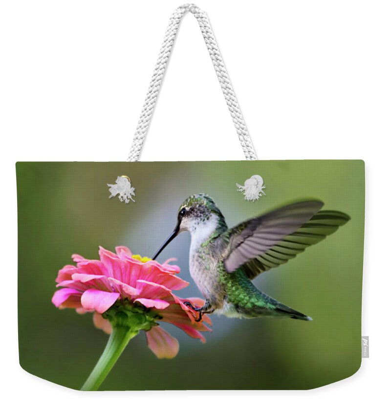 Hummingbird Weekender Tote Bag featuring the photograph Tranquil Joy by Christina Rollo