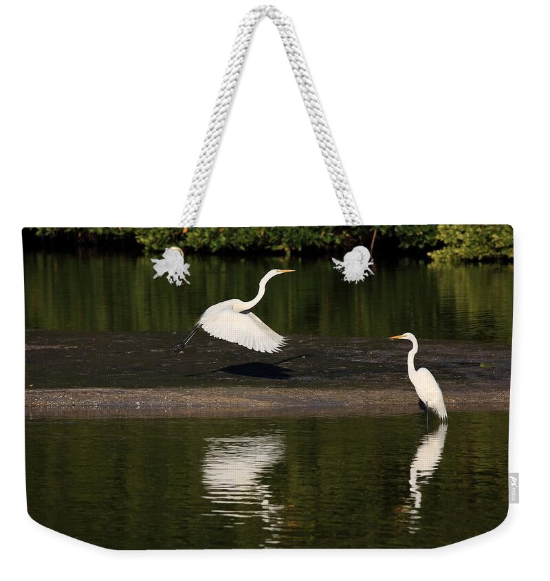 Great Egret Weekender Tote Bag featuring the photograph Tranquil Scenery 1 by Mingming Jiang