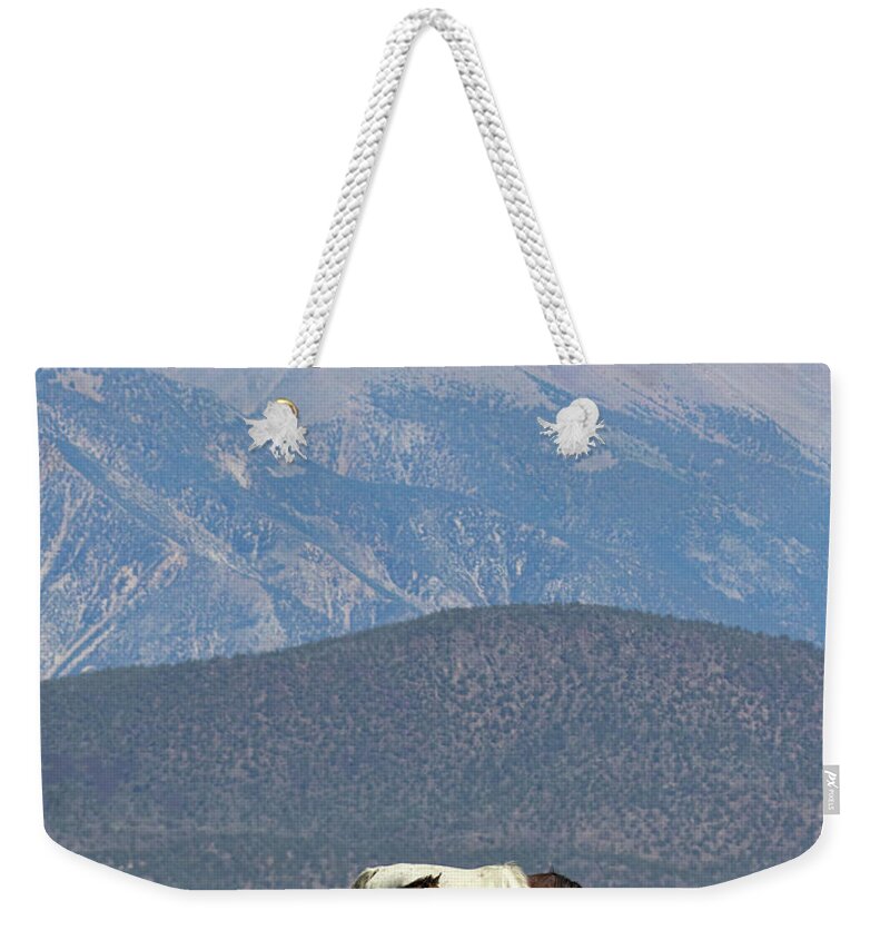 Eastern Sierra Weekender Tote Bag featuring the photograph Tranquility in the Meadow II by Cheryl Strahl