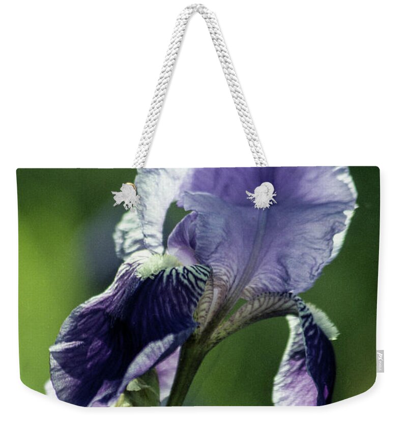 Arizona Weekender Tote Bag featuring the photograph Translucent by Kathy McClure