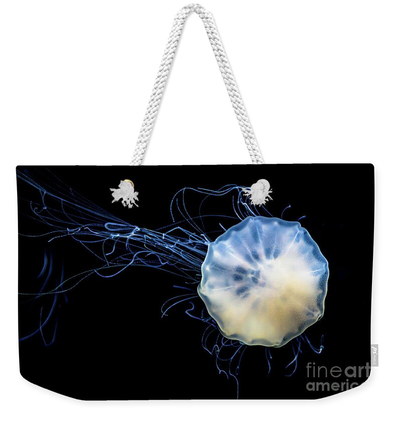 Poster Weekender Tote Bag featuring the photograph Transparent Jellyfish With Long Poisonous Tentacles by Andreas Berthold
