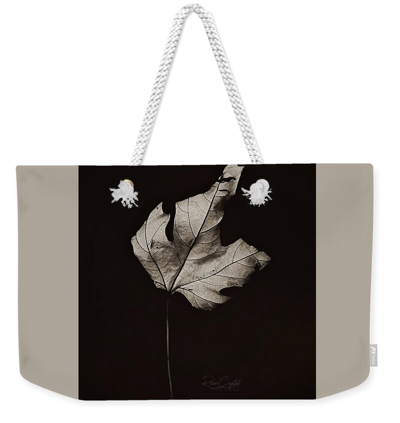 Leaf Weekender Tote Bag featuring the photograph Traveling Solo by Rene Crystal