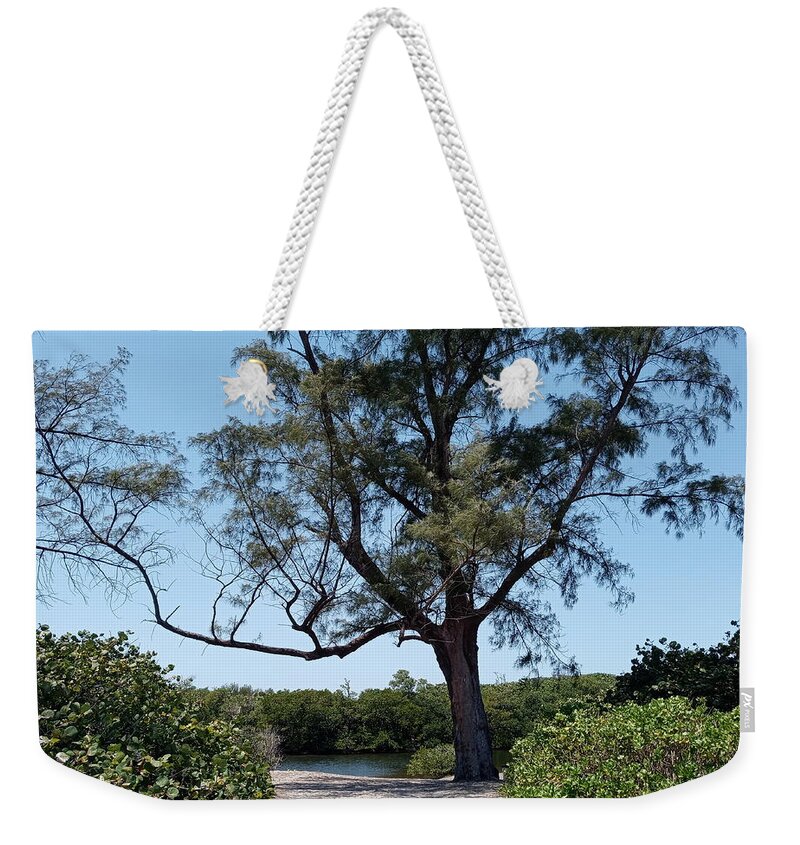 Tree Weekender Tote Bag featuring the photograph Tree At Dania by Dani McEvoy