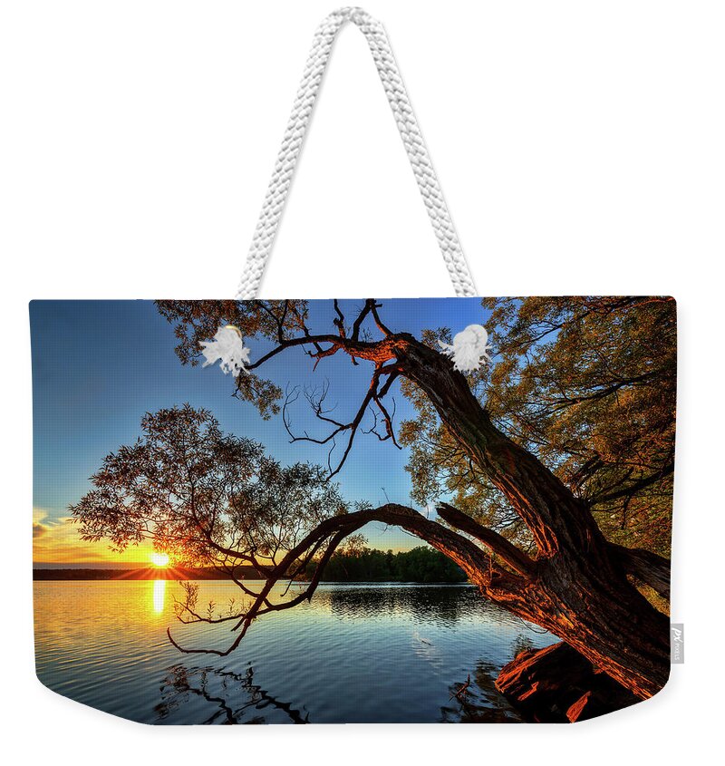 Maine Weekender Tote Bag featuring the photograph Tree at Sunset a0110 by Greg Hartford
