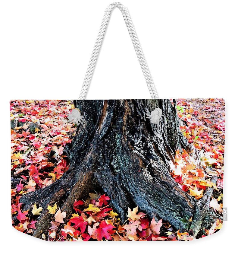 Tree Roots Weekender Tote Bag featuring the photograph Tree Confetti in Autumn by Linda Stern