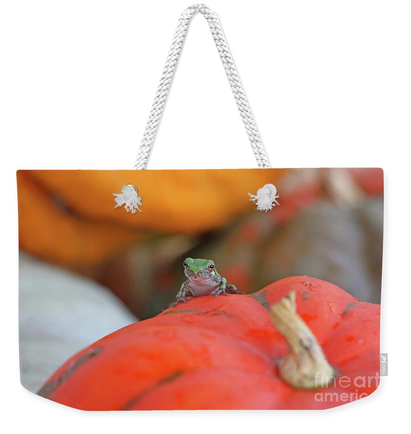 Tree Frog Weekender Tote Bag featuring the photograph Tree Frog 3353 by Jack Schultz
