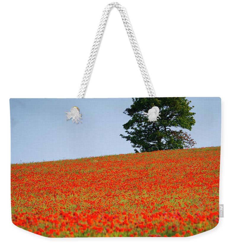 Alan Copson Weekender Tote Bag featuring the photograph Tree in a Poppy Field by Alan Copson