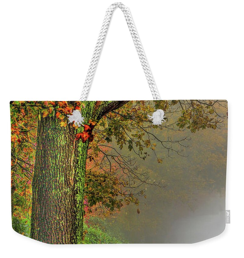 Fog Weekender Tote Bag featuring the photograph Tree in the fog by Cordia Murphy