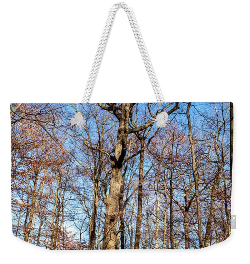 Brown Weekender Tote Bag featuring the photograph Tree in the Woods by Louis Dallara